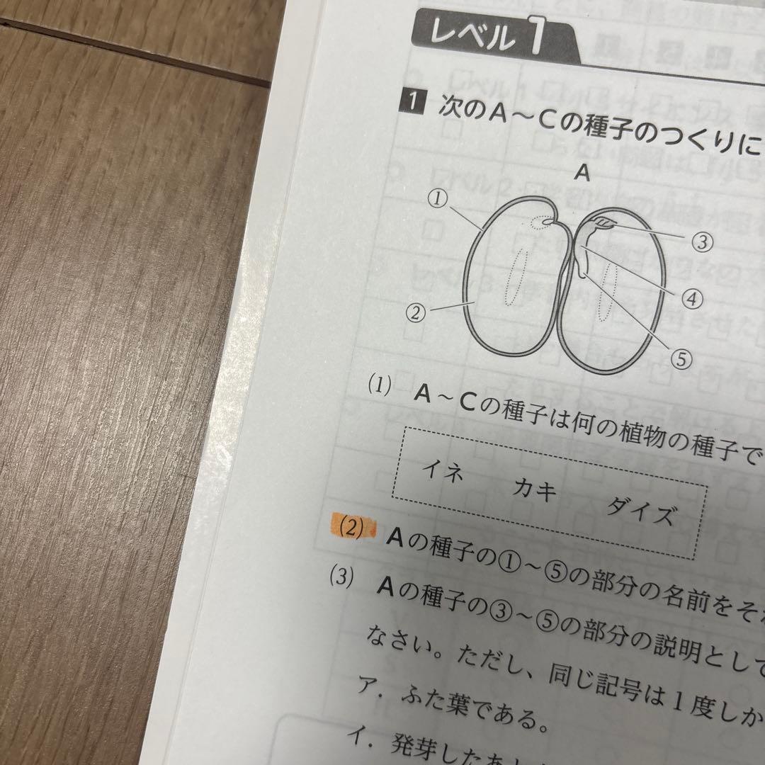 浜学園　小5 理科　要点のまとめ、問題 1年分