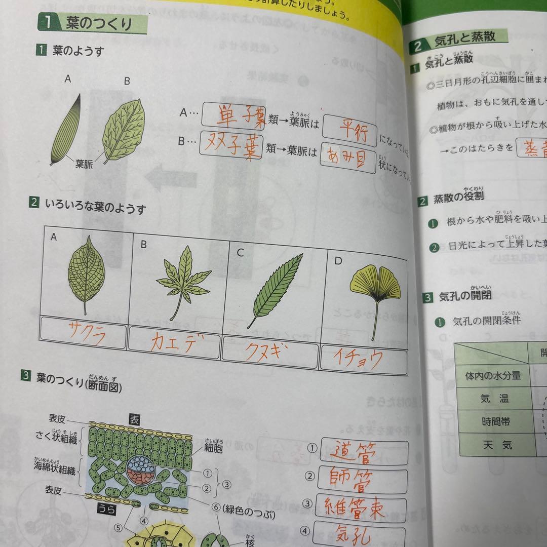 浜学園　小5 理科　要点のまとめ、問題 1年分
