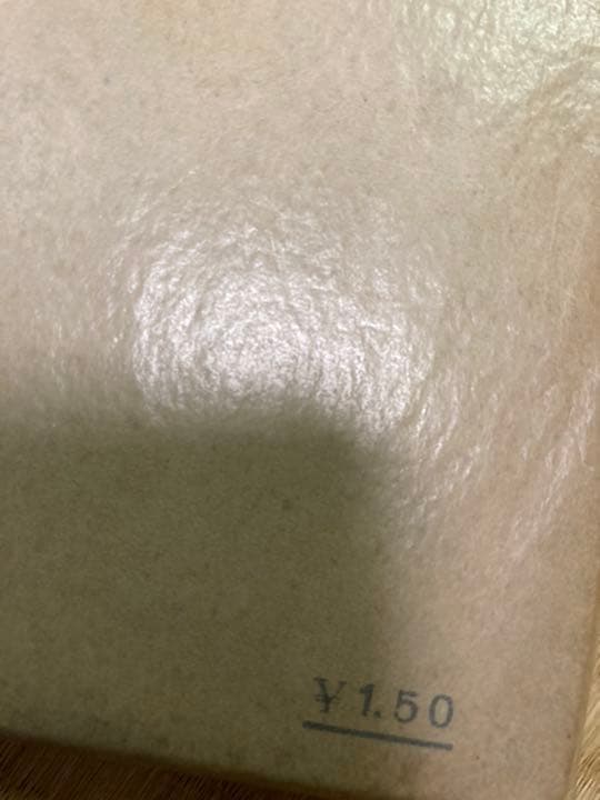 渋沢栄一伝　幸田露伴　昭和１４年第一刷　岩波書店　スリップ付き