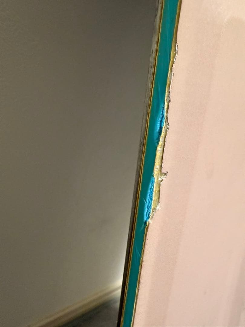 Burton Yeasayer 130 スノーボード 動物グラフィック