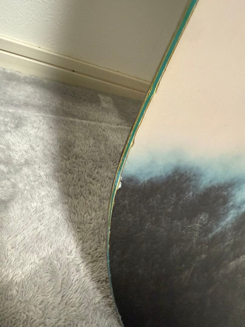 Burton Yeasayer 130 スノーボード 動物グラフィック