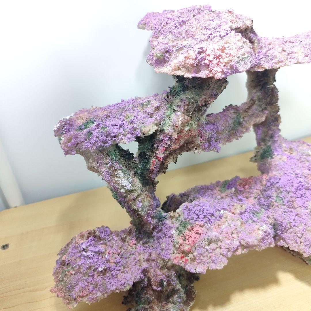 ❖新品アク抜き不要 人工ライブロック 60cm海水水槽用 レプリカ 多孔質安い2