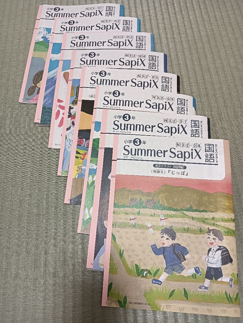 S*K様 サピックス　夏期講習　3年生　算数国語理科社会