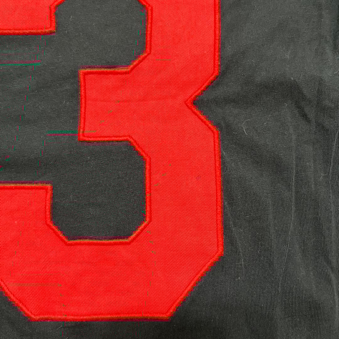 ラルフローレン　ロンT メンズ