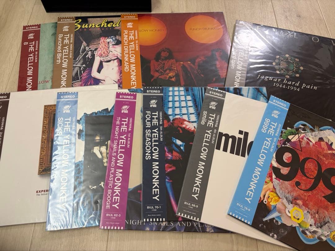 廃盤レア THE YELLOW MONKEY VINYL レコード19枚組BOX
