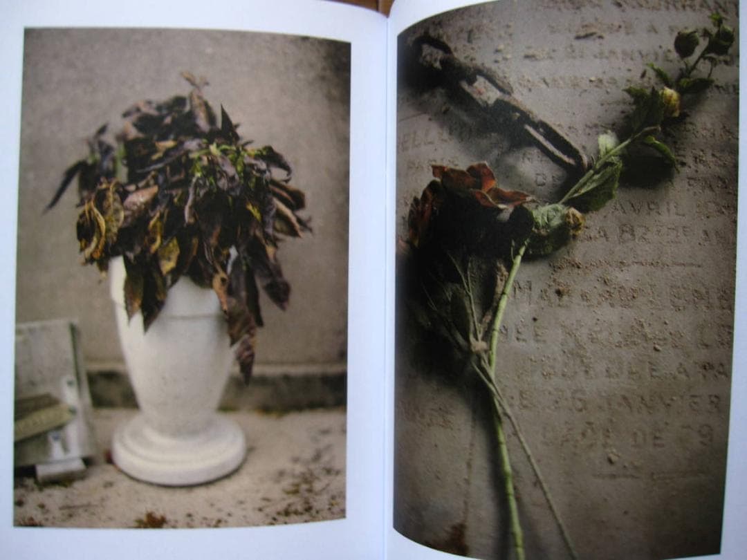 Printemps Paris　David Kregenow　 限定100部