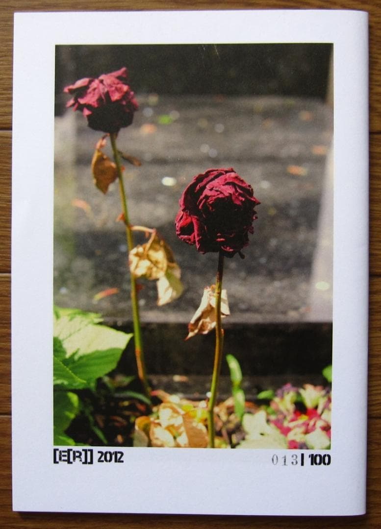 Printemps Paris　David Kregenow　 限定100部