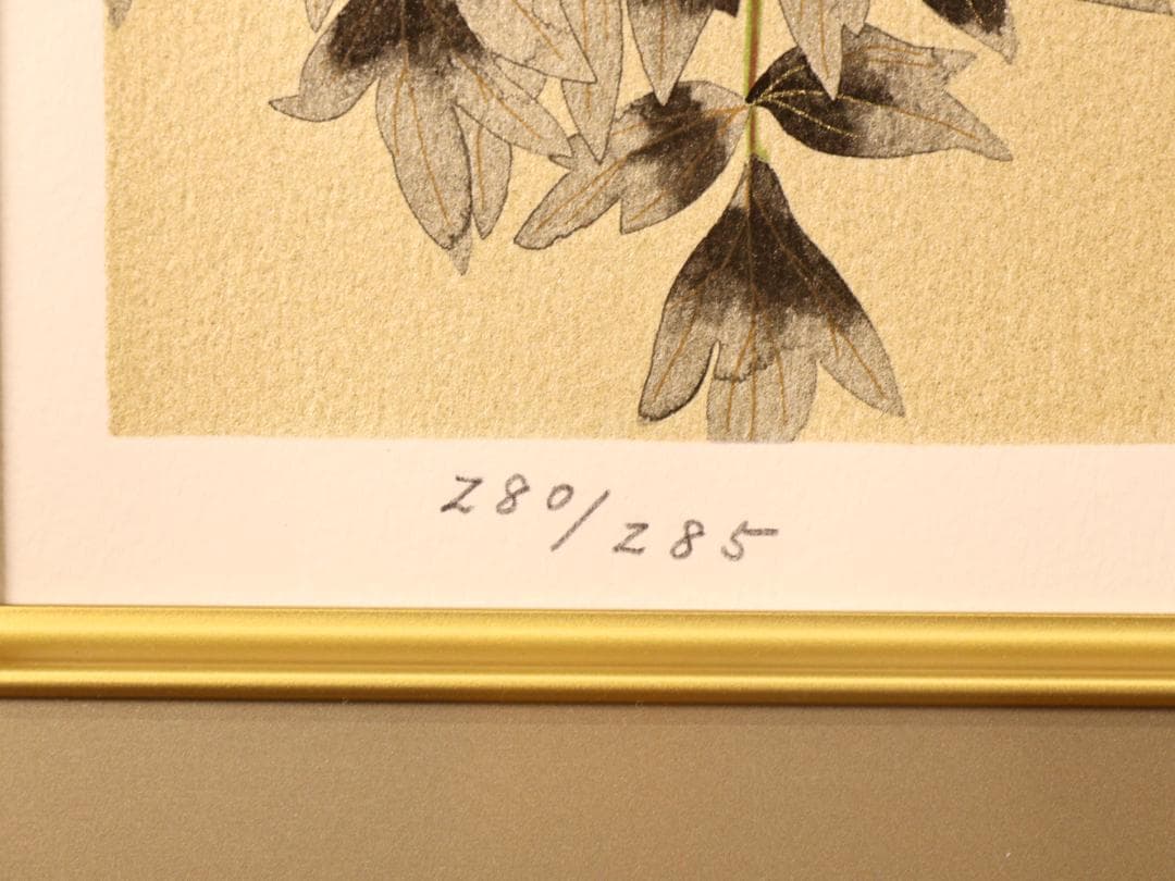 秀ちゃん　 BK281　中島千波 「 富貴花響艶 」 280/300　リト