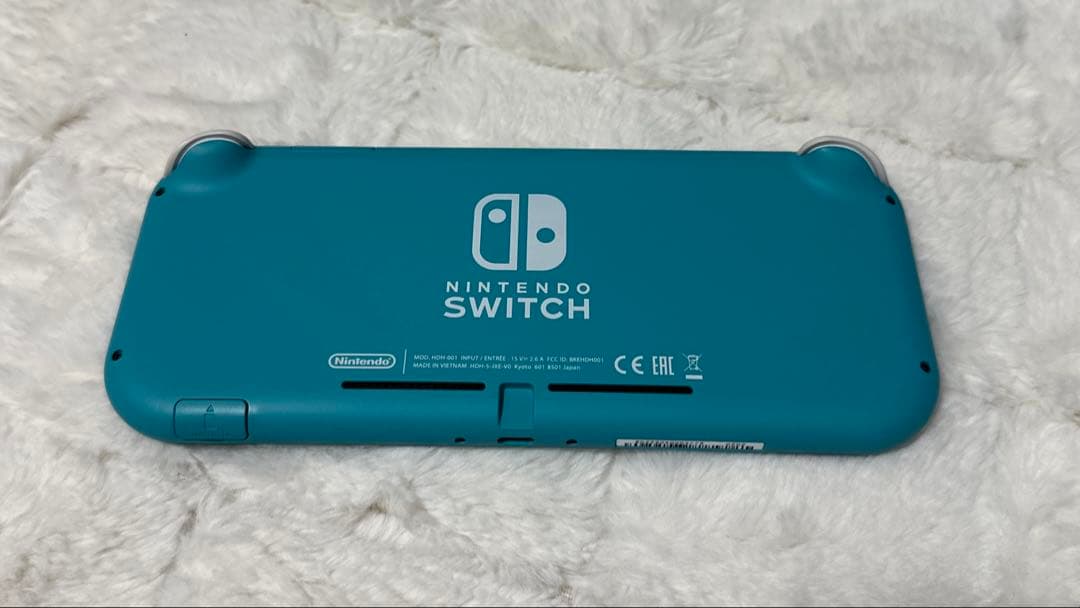 【美品】Switch Lite ソフト/ACアダプター付