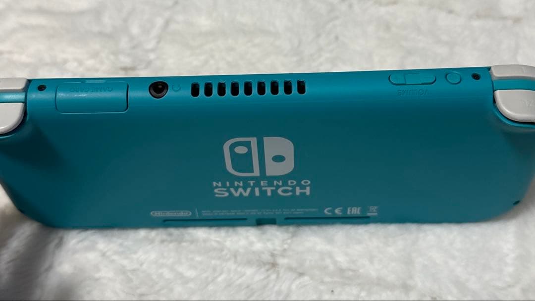 【美品】Switch Lite ソフト/ACアダプター付