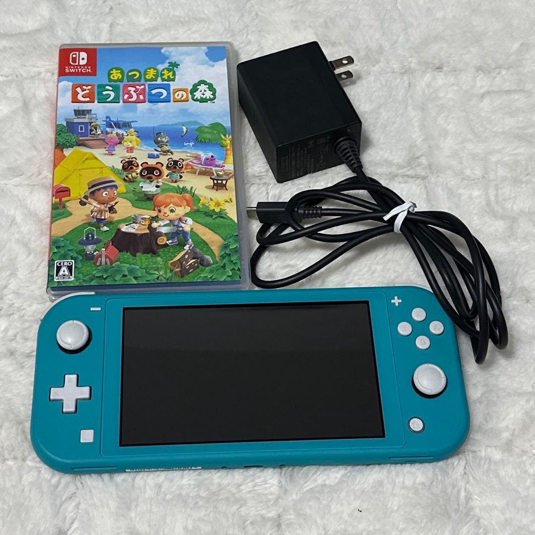 【美品】Switch Lite ソフト/ACアダプター付