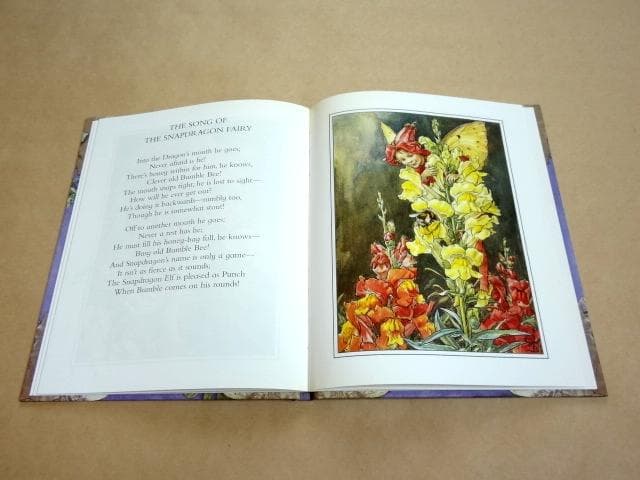 ★ シシリー・メアリー・バーカー 洋書 画集 花の妖精シリーズ 12冊セット ★