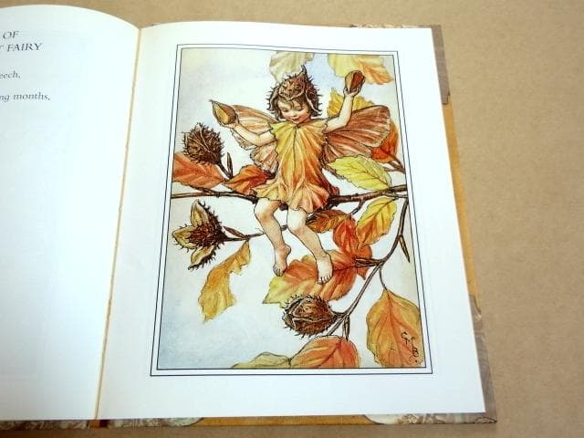 ★ シシリー・メアリー・バーカー 洋書 画集 花の妖精シリーズ 12冊セット ★