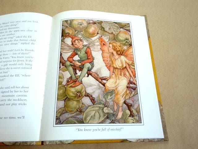 ★ シシリー・メアリー・バーカー 洋書 画集 花の妖精シリーズ 12冊セット ★