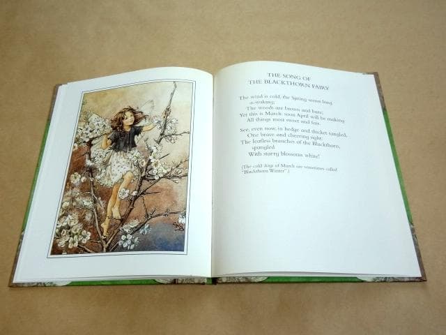 ★ シシリー・メアリー・バーカー 洋書 画集 花の妖精シリーズ 12冊セット ★