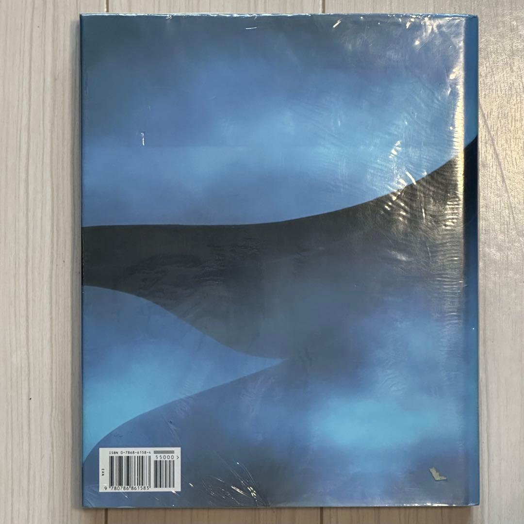 The Art of Pocahontas 画集　洋書