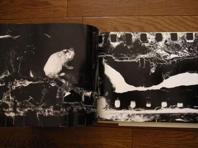 死現実　荒木経惟　Nobuyoshi Araki　帯付き