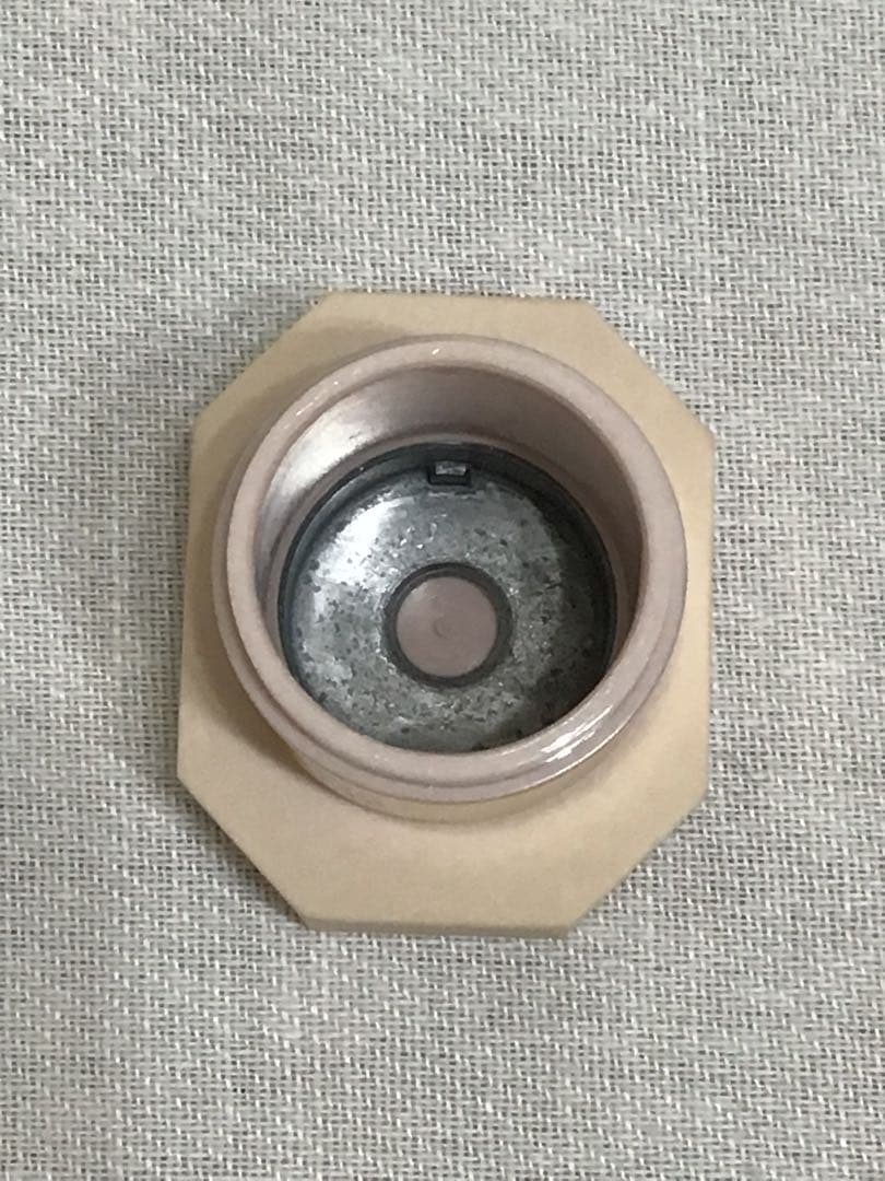 ステラマッカートニー ステラ オードトワレ 100ml 香水