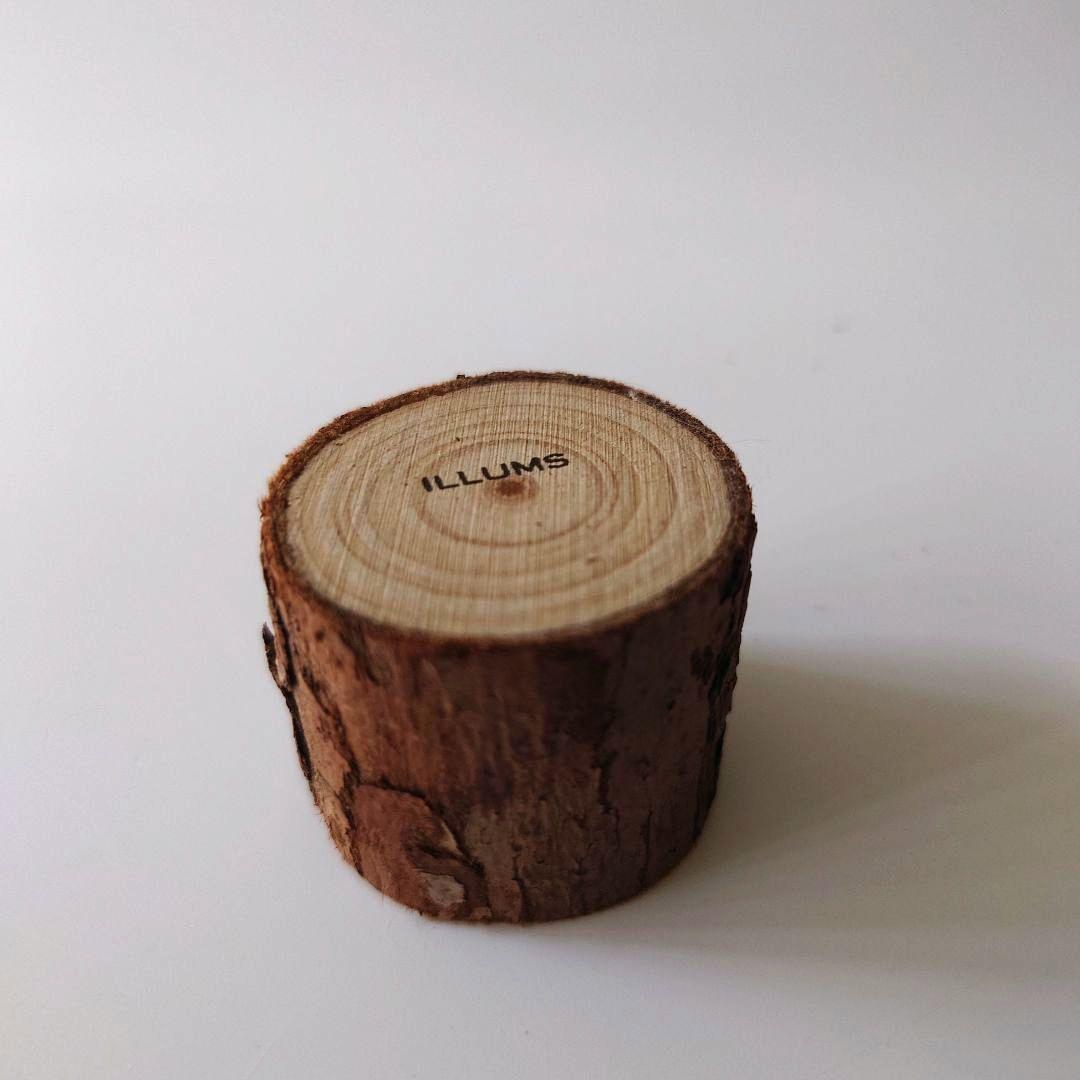 ノルディカニッセ　イルムス　2023　ニッセ