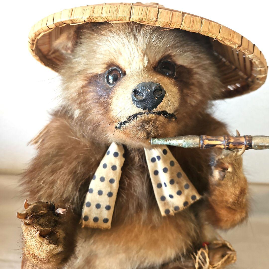 剥製　狸　タヌキ　獣　縁起物　商売繁盛　出世運　レトロ　天然木　台座付き