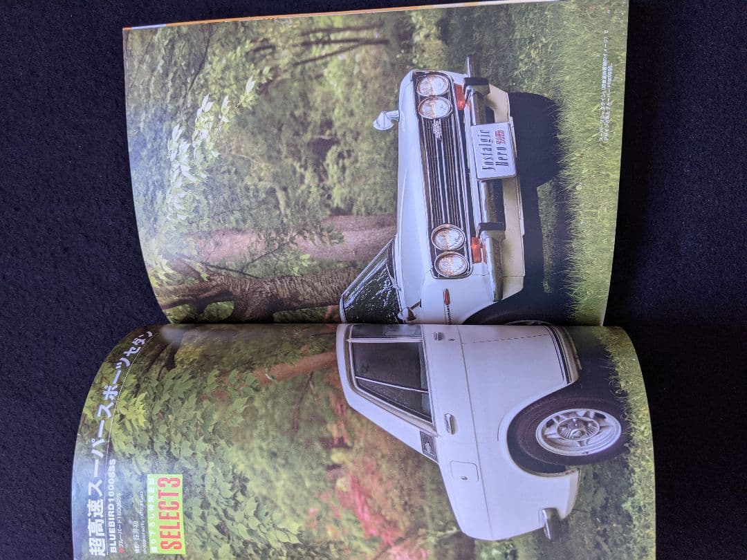 ブルーバード&サニー　保存版　510 910 1800SSS-S ダットサン