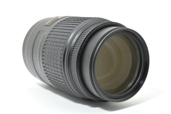 ★極上品★ニコン AF-S 55-300mm F4.5-5.6G ED #670