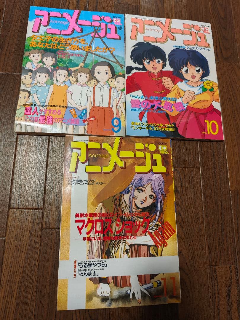 徳間書店　アニメージュ(平成３年刊行)　 11冊まとめ売り