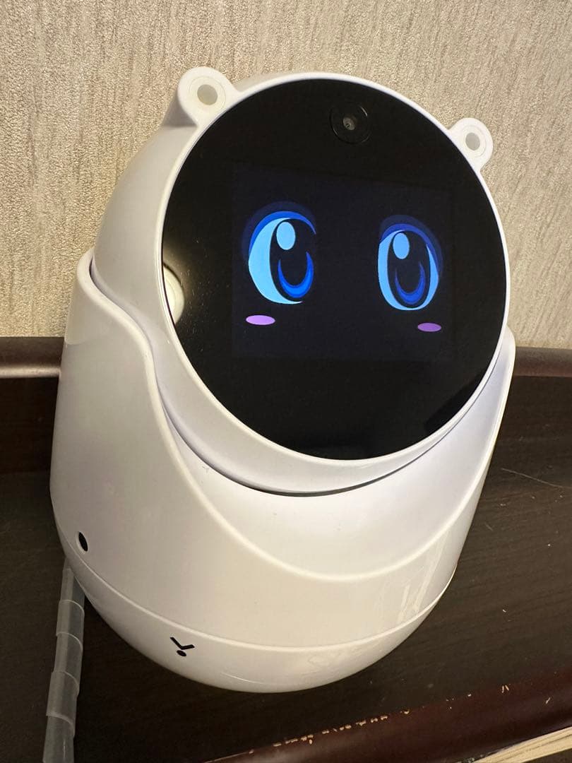 ユピテル　ユピ坊　見守りロボット