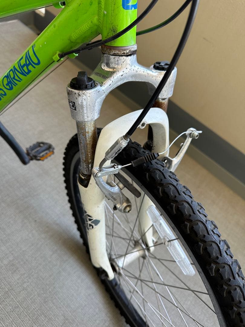 (値下)マウンテンバイク キッズ用 LOUIS GARNEAU LGS-J24