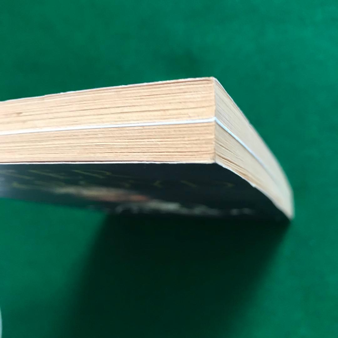 洋書 Peter Ackroyd Turner