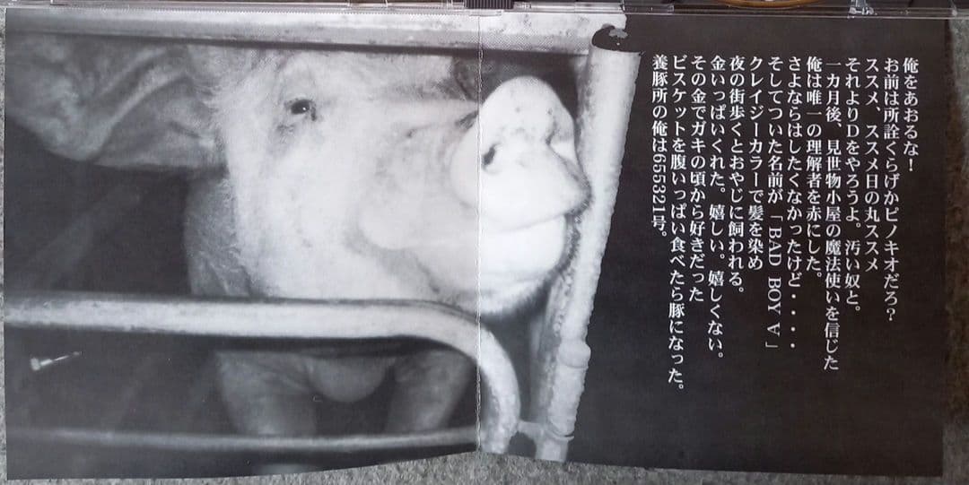 帯付き　ANTI FEMINISM アンチ・フェミニズム 狂犯・差別・非日常的