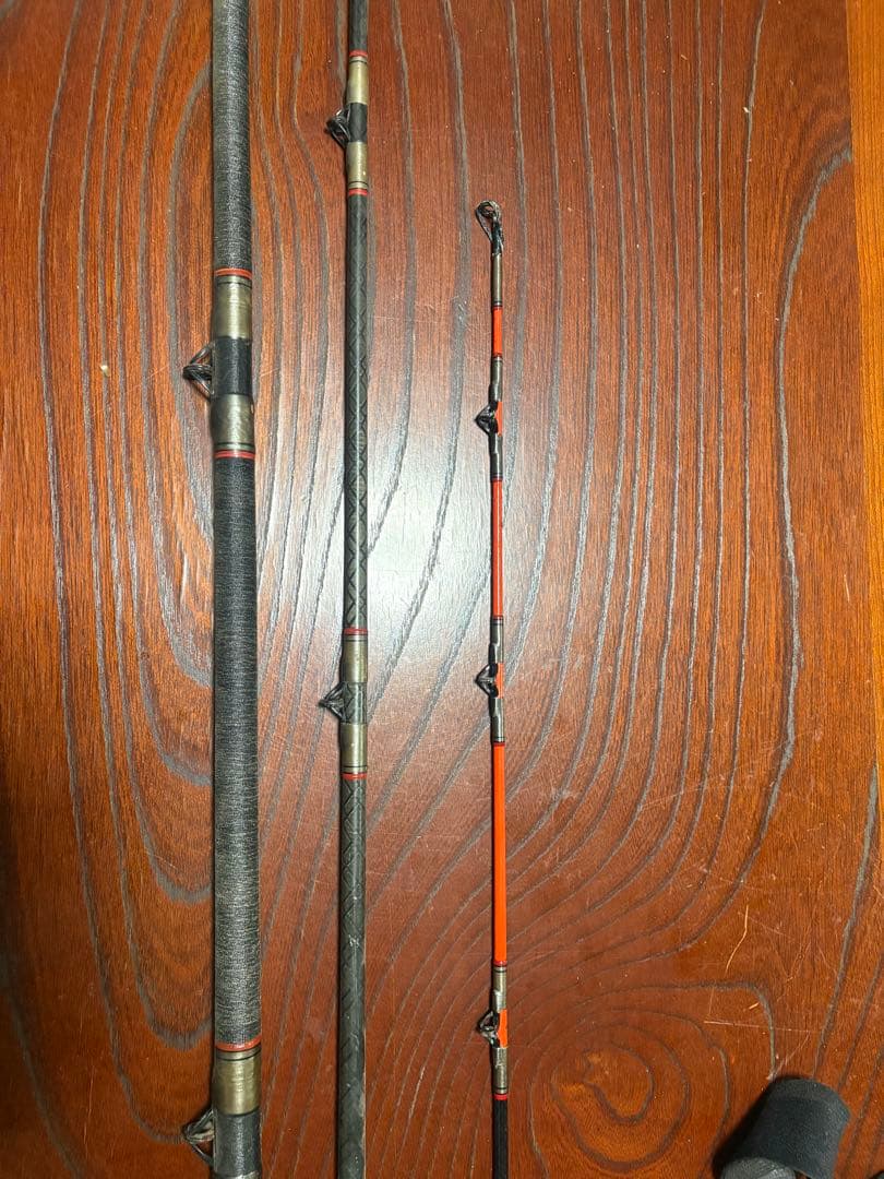 カーボウイスカー　尖閣100号　484