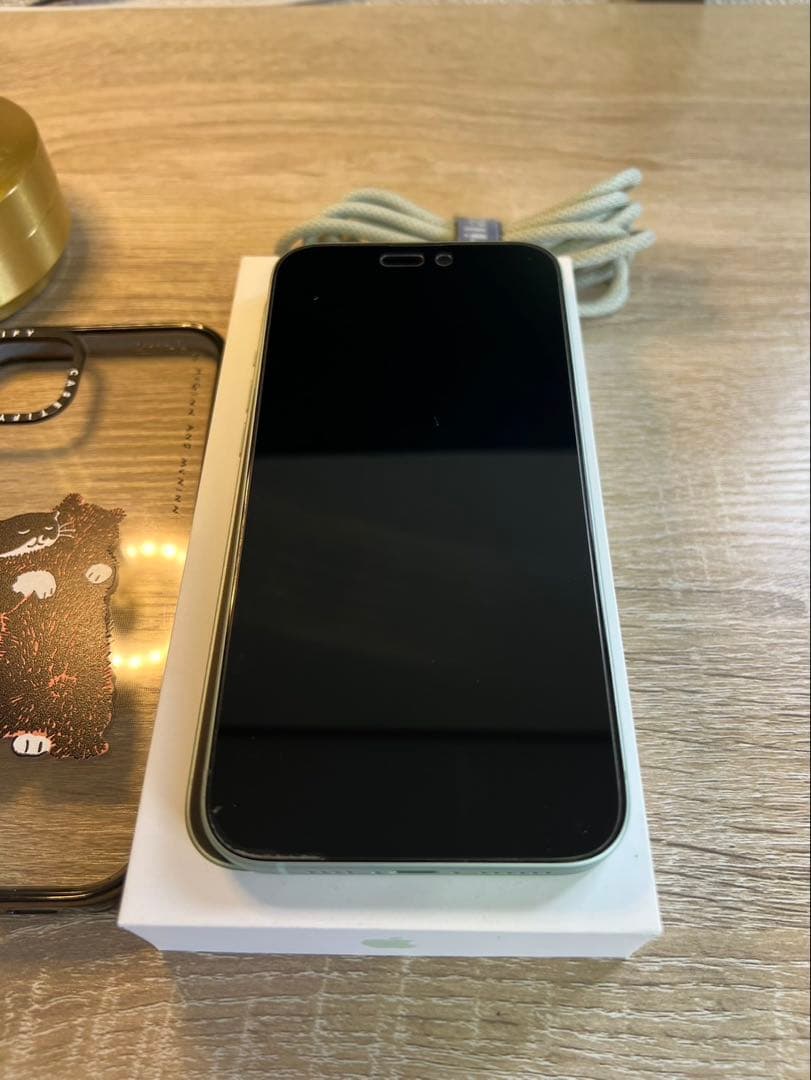 【美品】iPhone15Plus 128GB CASETiFY・Anker付