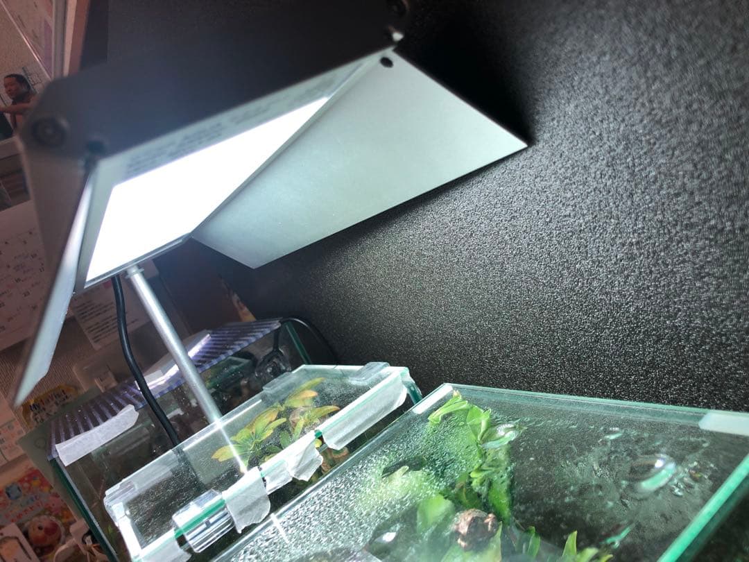 【美品】WEEK AQUA S300pro LEDライト RGBライト 30cm