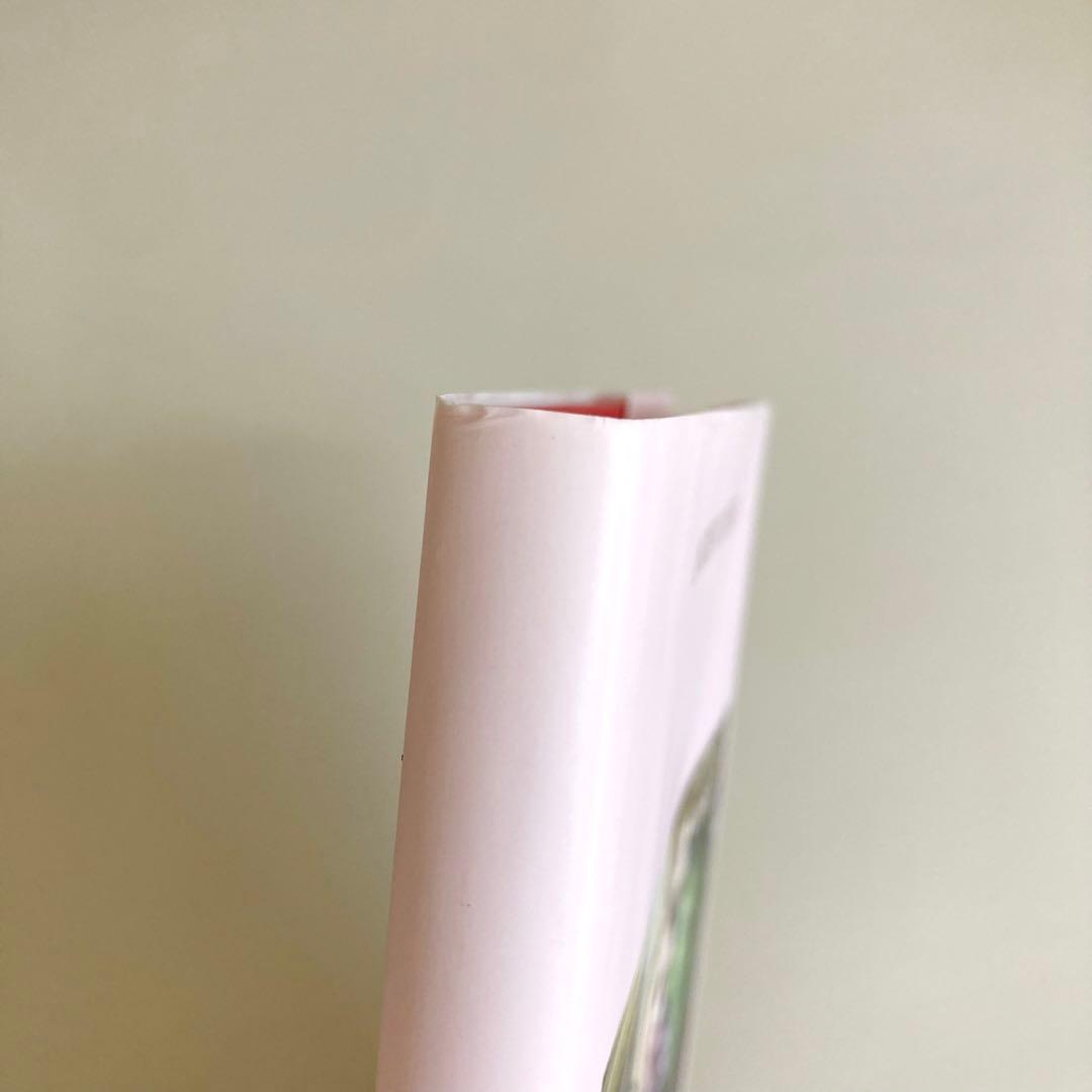 【限定本】ソフィア・コッポラ監督20周年記念メモリアル・フォトブック