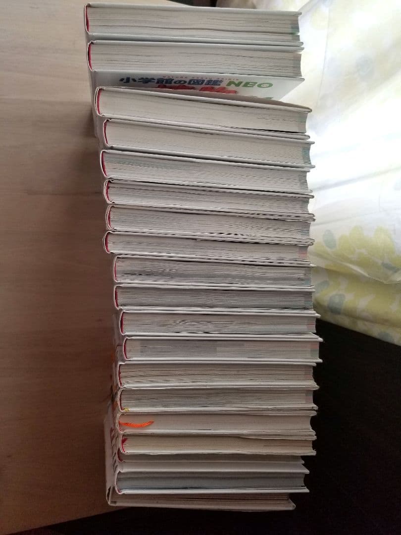 小学館図鑑NEO17冊+図鑑2冊 19巻セット【バラ売り不可】