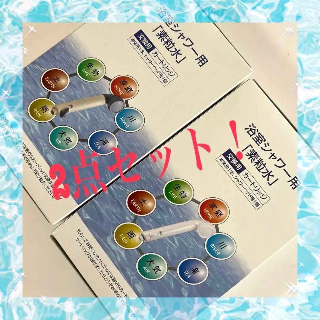 素粒水 交換用カートリッジ 2個セット！　未開封、未使用品！