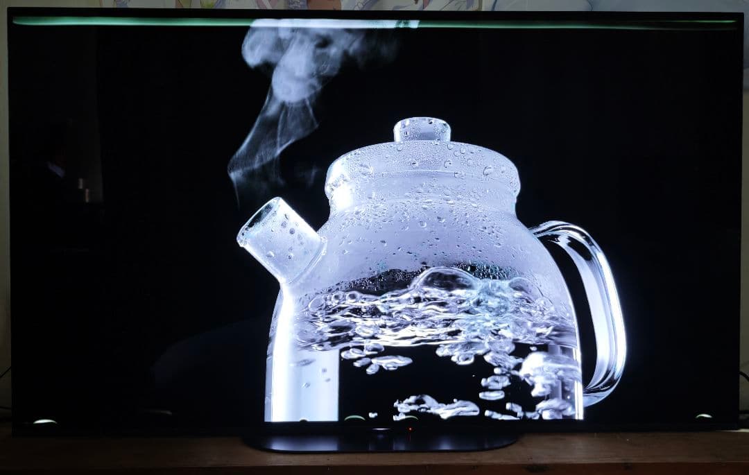 BRAVIA KJ-55A9G 有機ELパネル 2019年製