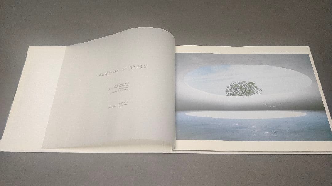 豊島美術館  写真集  内藤礼  西沢立衛