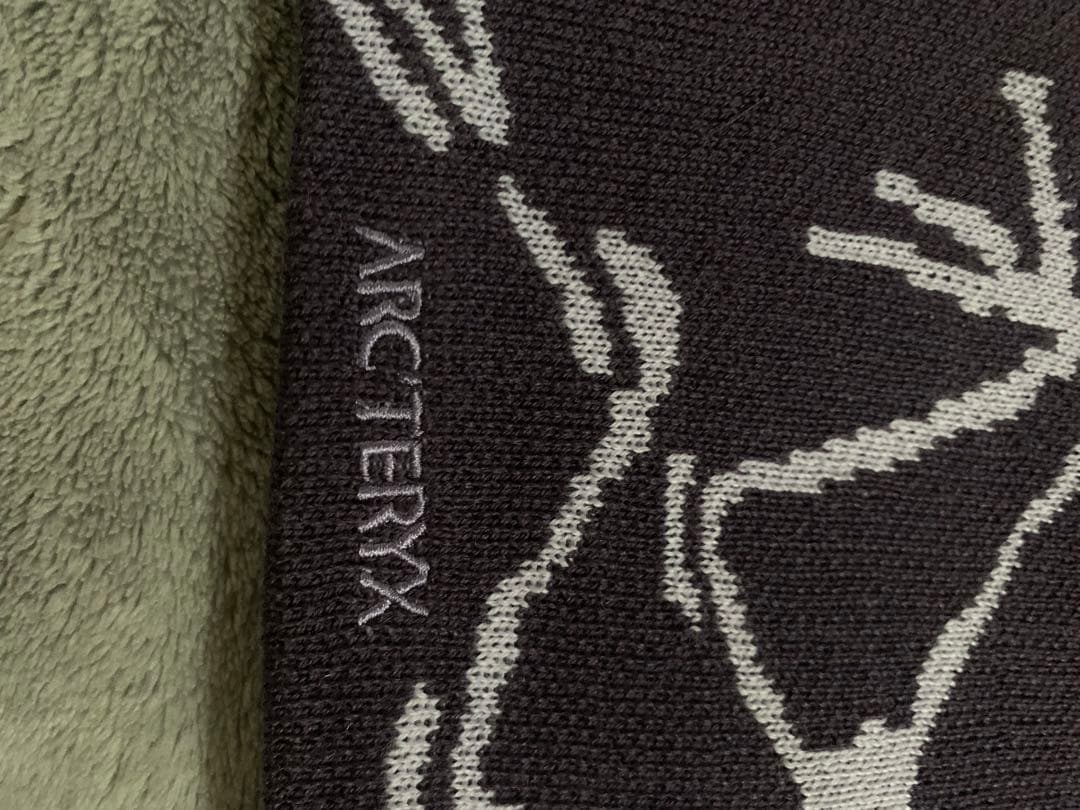 2026年2月購入★新品★ 新色★アークテリクス　バードヘッドトーク