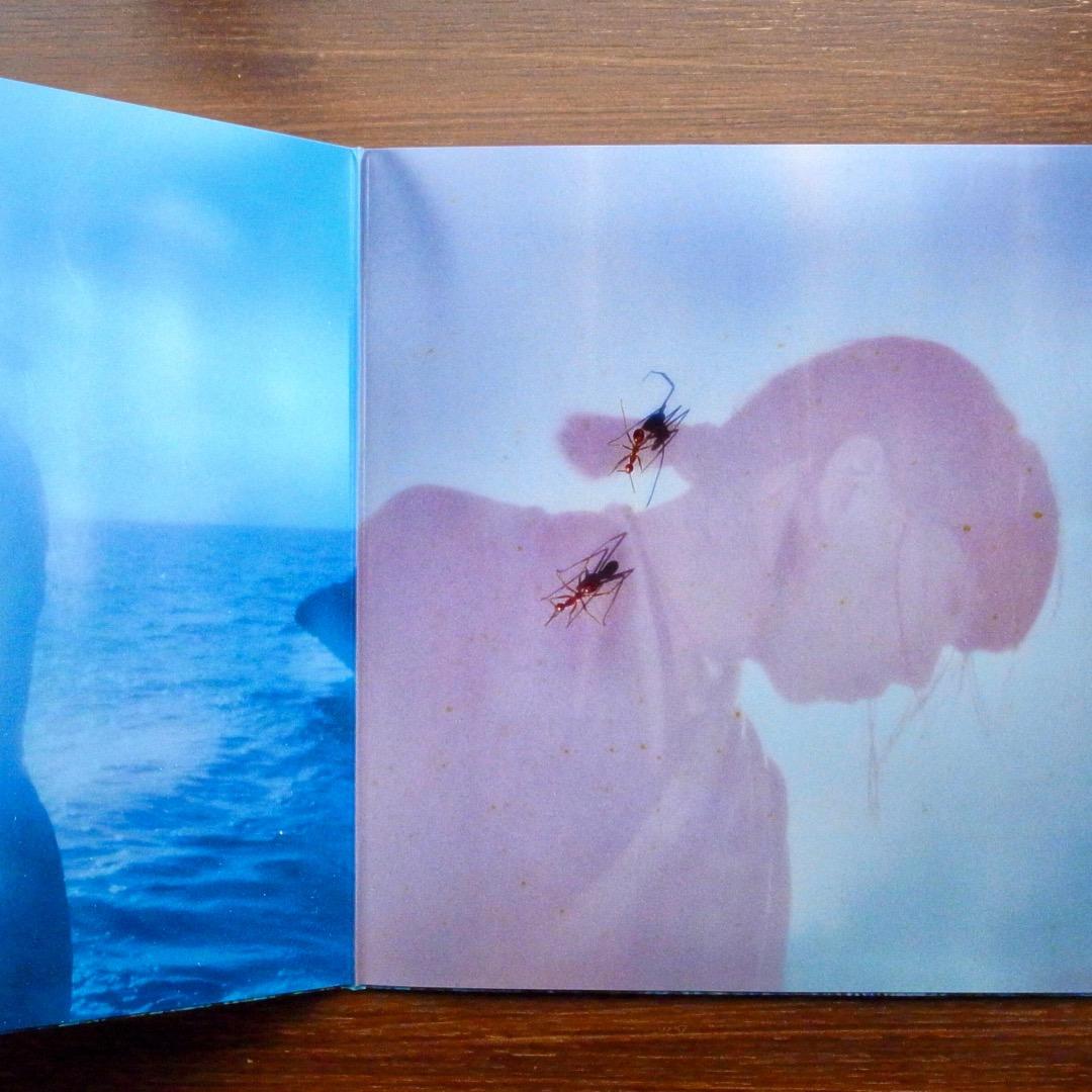 初回デラックス　 青葉市子 / Luminescent Creatures LP