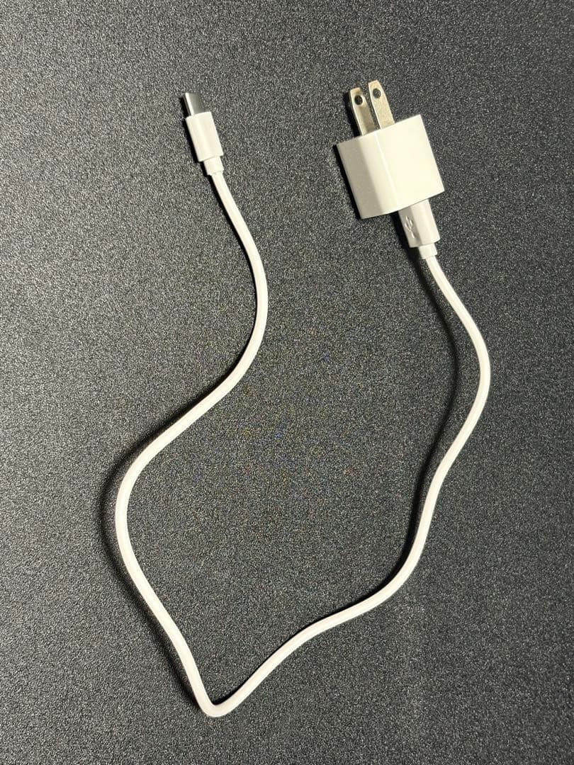 Nintendo Switch Lite ポケットモンスター　バイオレットセット