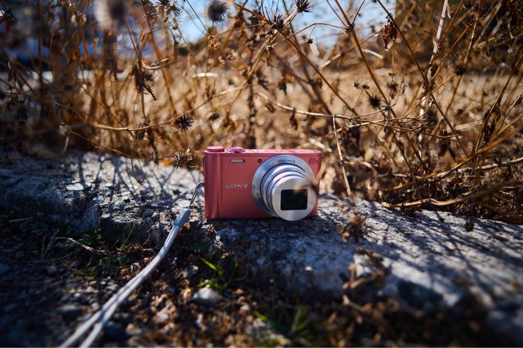 ト*ツ様 CONTAX Distagon T* 25mm F2.8 ZF.2 C