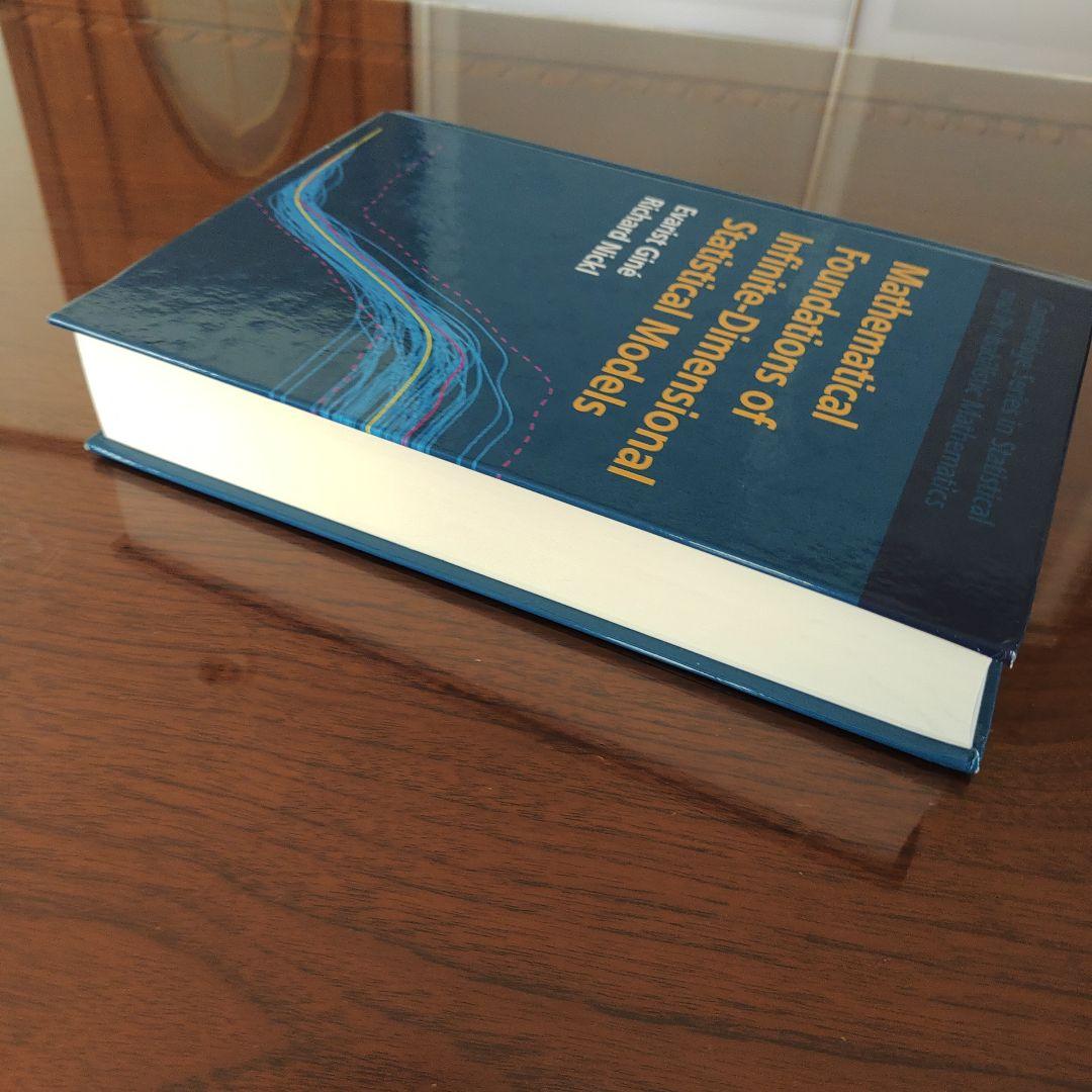 【洋書】Mathematical Foundations of Infinite