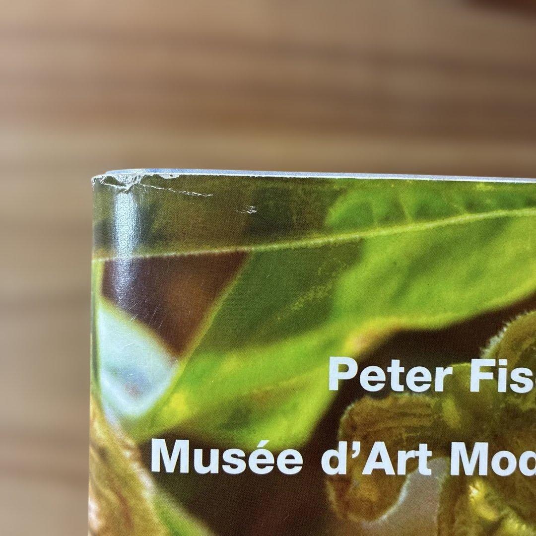 アート・デザイン・音楽 Musee d'Art Moderne De La Ville De Paris