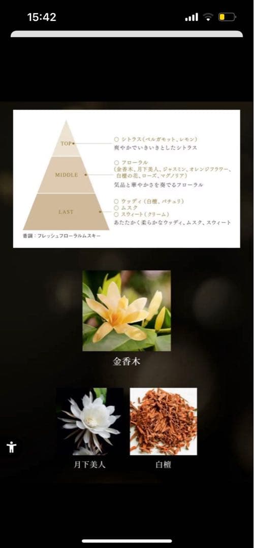 コスメデコルテ エターナルエレガンスボックス 2025 コフレ 香水のみ