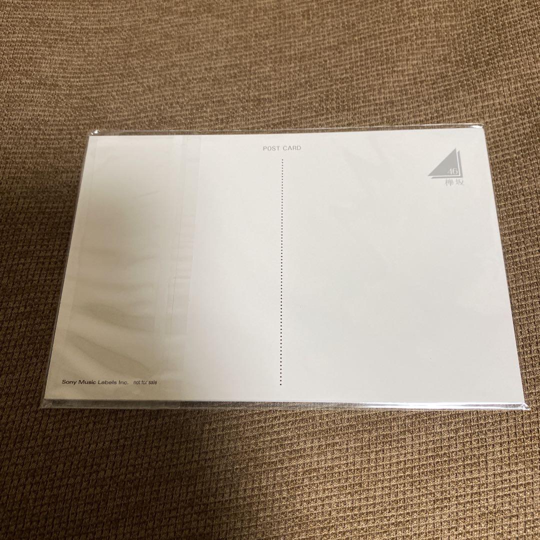 欅坂46/LIVE at 東京ドーム～ARENA TOUR 2019 FINA…