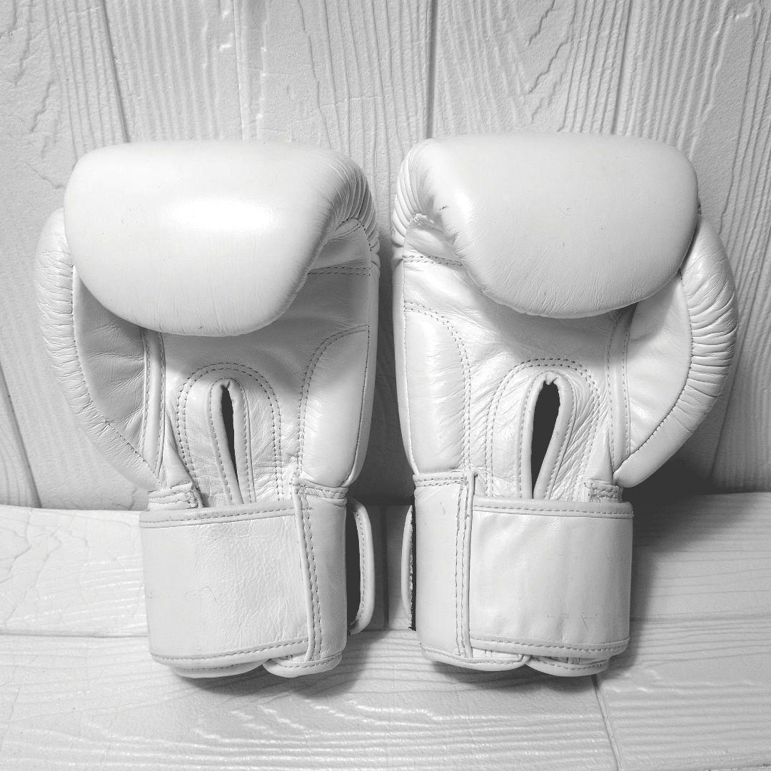 WINDY　ボクシンググローブ　BGVH 12 oz ホワイト