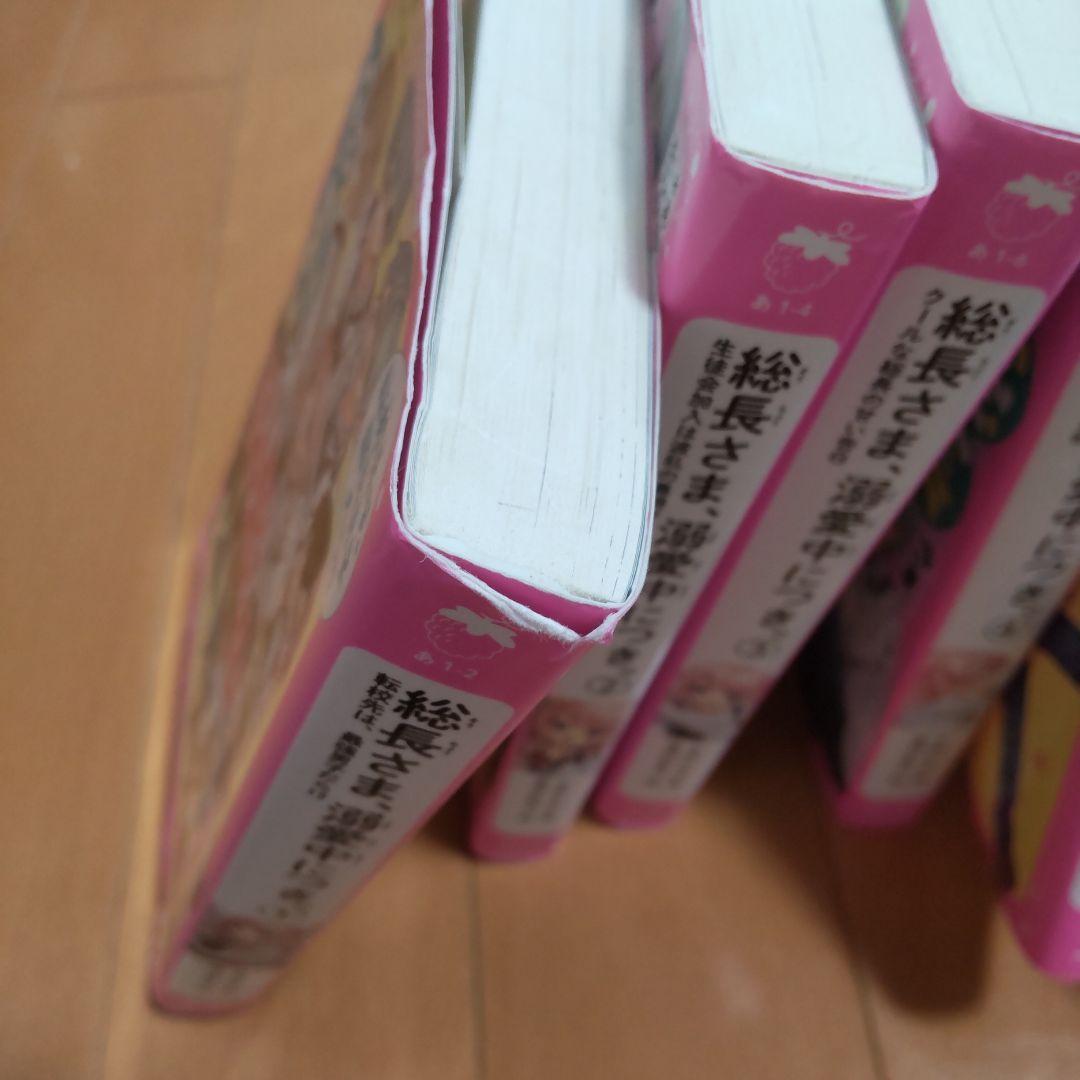 総長さま、溺愛中につき。①〜⑮巻セット