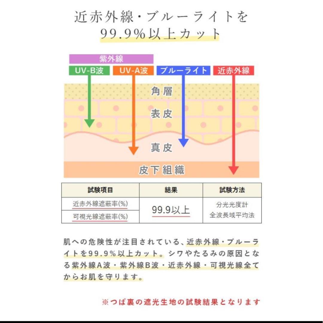 【極美品】芦屋ロサブラン ワイドブリムハット